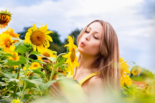 Schöne Frau zwischen Sonnenblumen — Stockfoto