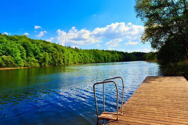 stock image Beautiful forest lake