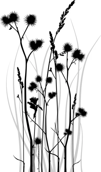 Silhouette d'herbe — Image vectorielle