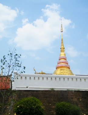 Thai ejderhası ya da Naga kralı heykeli