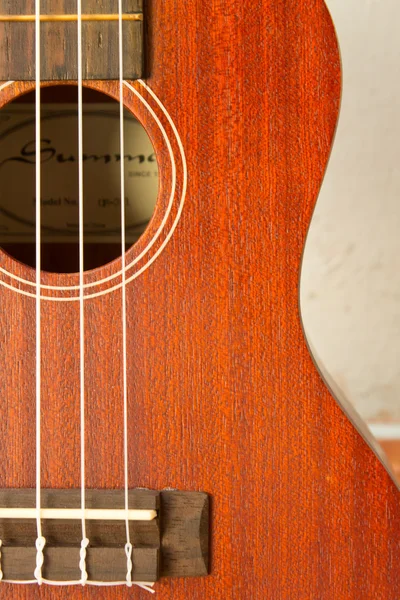 Electronic ukulele — Stock Photo, Image