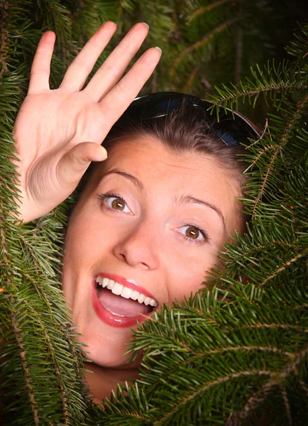 Sucked in by pine! — Stock Photo, Image