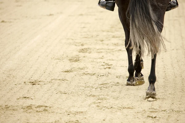 Paard hoeven — Stockfoto