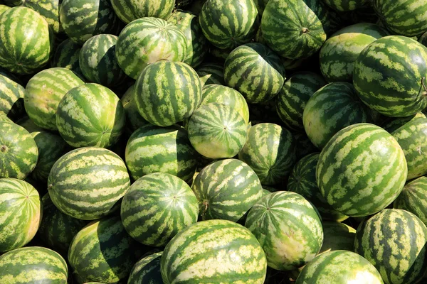 stock image Watermelon pile