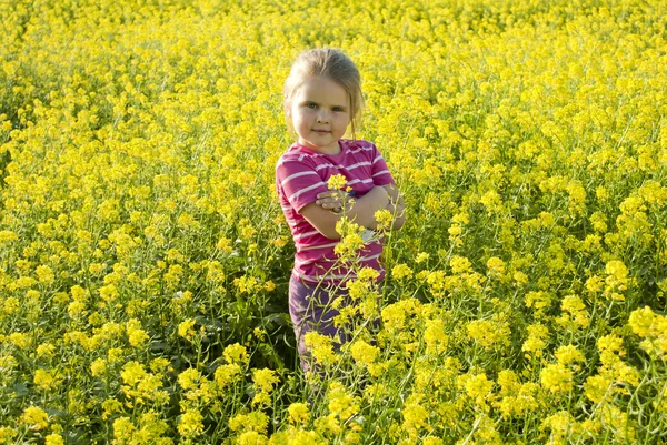 A menina em um prado — Fotografia de Stock