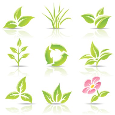 Leaves and a flower clipart