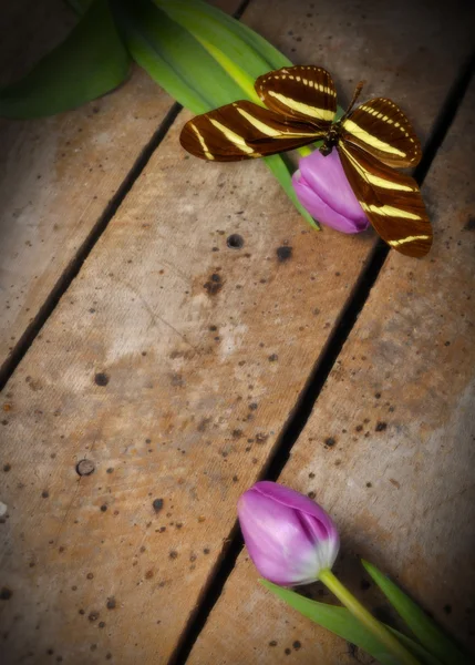 Фиолетовые тюльпаны и желтая бабочка с копировальным пространством Стоковое Изображение