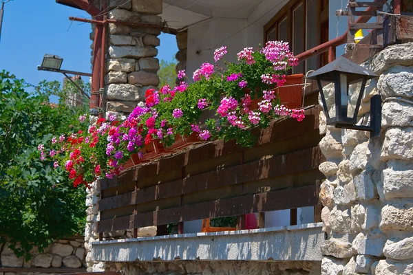 Blommor på balkongen. Bulgarien. Nessebar. — Stockfoto