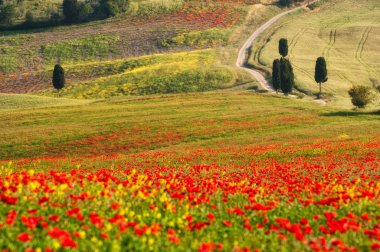 Tuscan landscapes clipart