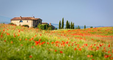 Tuscan painting clipart