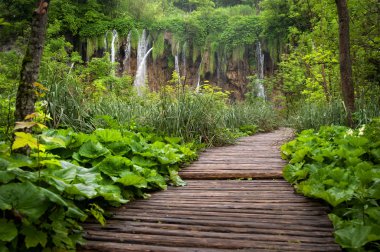 milli park plitvitce, Hırvatistan