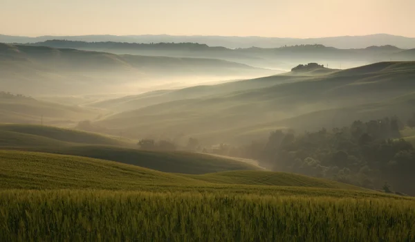 Früher morgen in val d 'orcia — Stockfoto