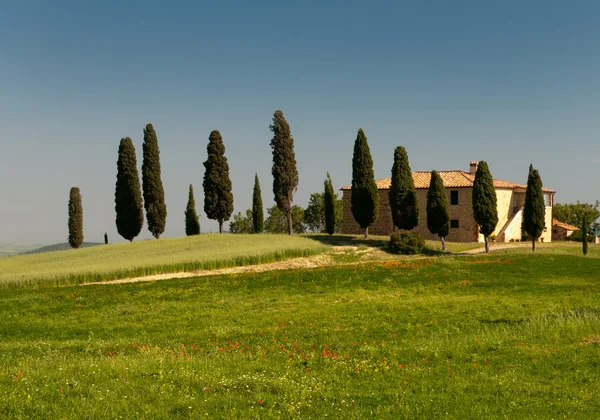 Typisches toskanisches Haus mit Zypresse — Stockfoto