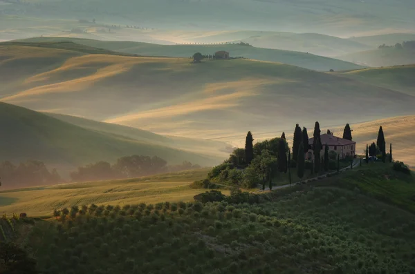 Early morning in the val'd orcia — Stock Photo, Image