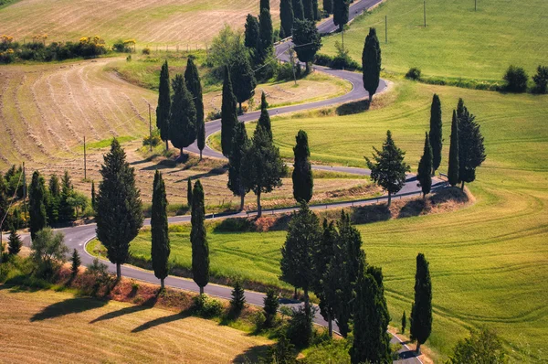 Winding road. Near montichiello — Stockfoto