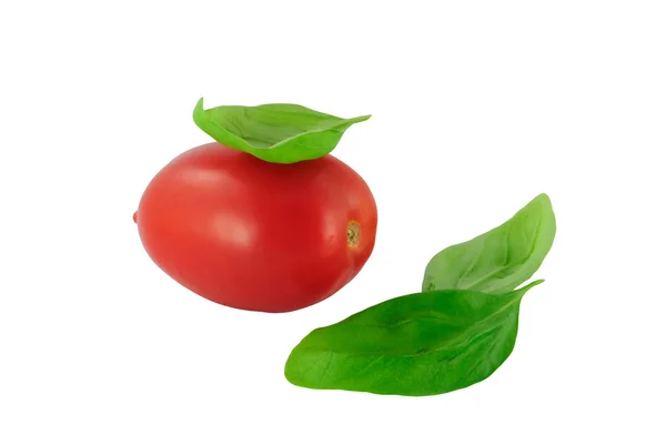 Tomate der sorte roma mit basilikum - pomidorów i bazylii — Zdjęcie stockowe