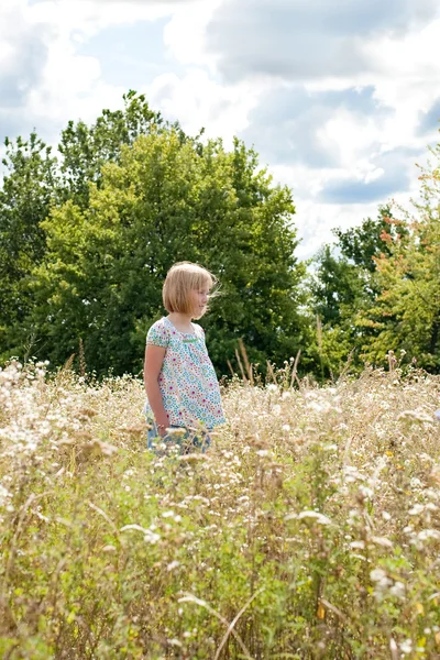 Menina adolescente no prado — Fotografia de Stock