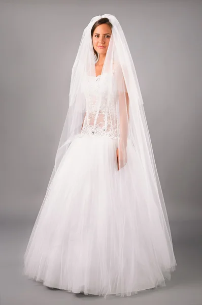 Pięknej narzeczonej na sobie suknię ślubną i welon na neutralnym tle — Zdjęcie stockowe