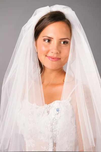 Beautiful bride under veil on studio neutral background — Stock Photo, Image