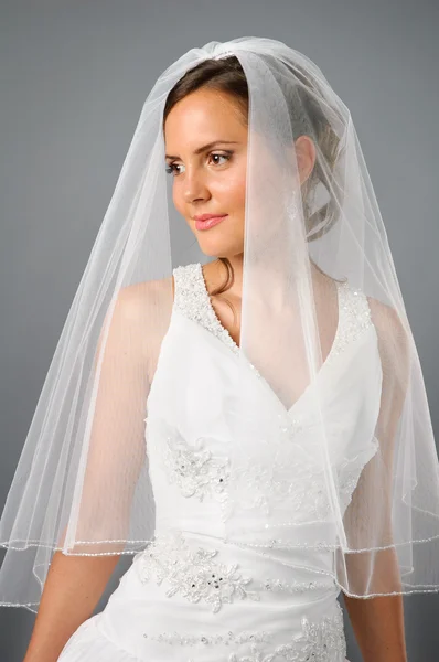 Krásná nevěsta pod závojem na studio neutrální pozadí — Stock fotografie