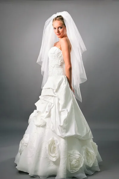 Belle mariée sous la robe de voile sur le fond neutre — Photo