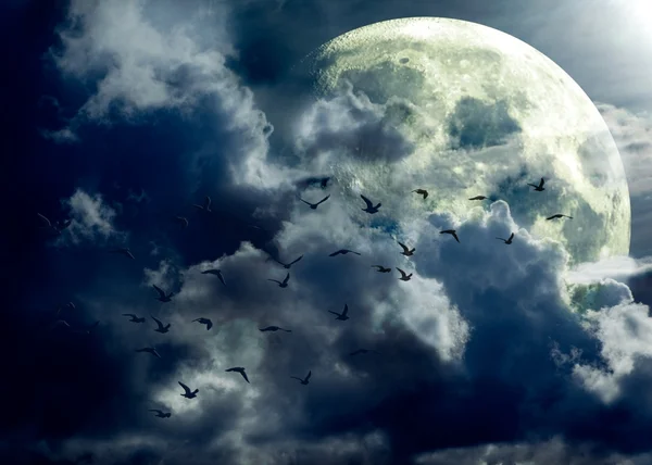 Paesaggio luna piena — Foto Stock