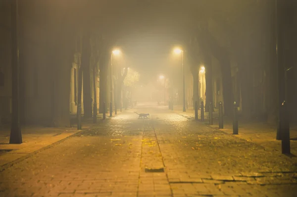 市区街道在夜间 — 图库照片