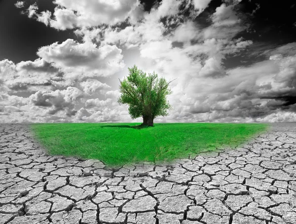 Environment Concept — Stock Photo, Image