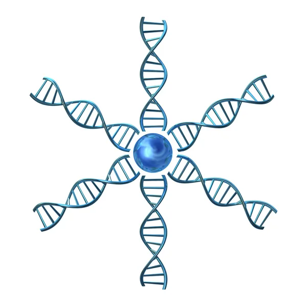 DNA helices — Stock fotografie