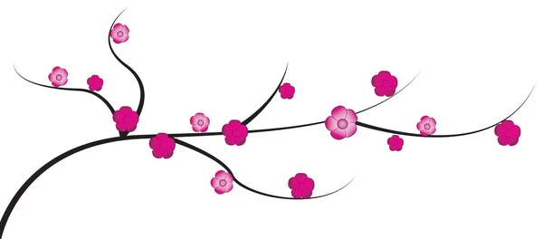 花と桜の小枝 — ストックベクタ