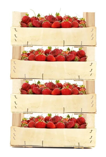 Boxes with strawberries — Stock Photo, Image