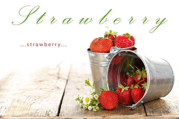 草莓在花盆里 — 图库照片