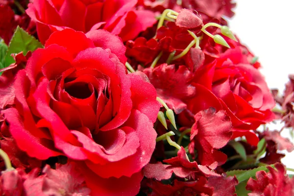Close up of red roses bunch — Stock Photo, Image