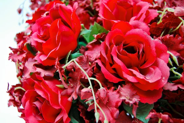 Primer plano del racimo de rosas rojas — Foto de Stock