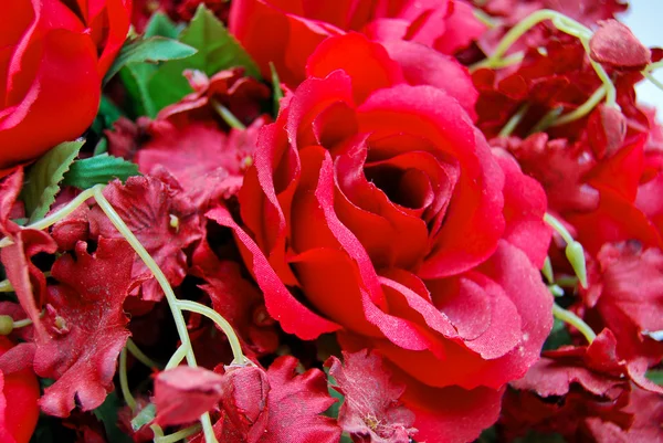 Close up of red roses bunch — Stock Photo, Image