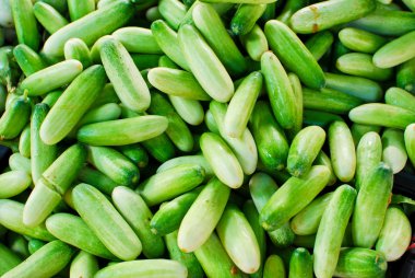 Fresh cucumber in market clipart