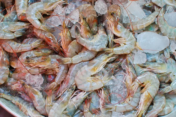 Φρέσκα γαρίδες σε Παγοθήκη στην αγορά — Φωτογραφία Αρχείου