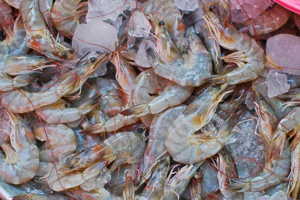Crevettes fraîches sur un plateau de glace sur le marché — Photo
