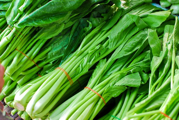 stock image Fresh asian kale lettuce in market