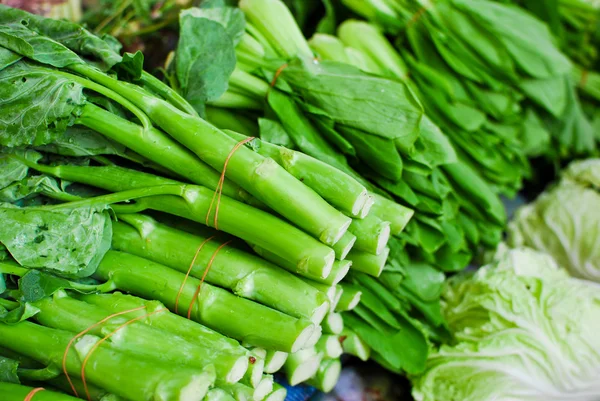 Stock image Fresh asian kale lettuce in market