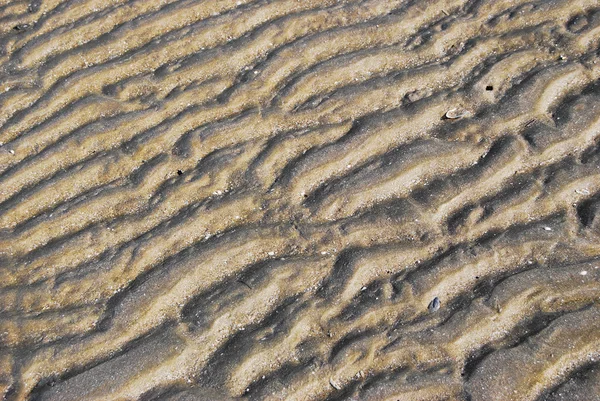 stock image Highly details texture of sand