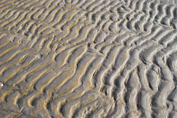 Texture très détaillée du sable — Photo