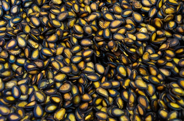 Meloun semena pozadí — Stock fotografie