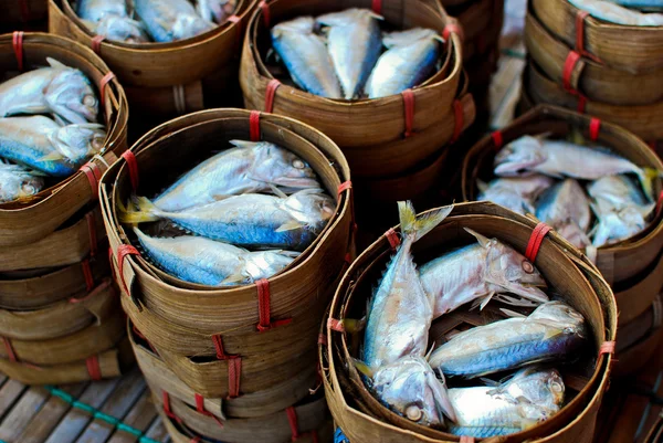 Čerstvé makrely na trhu — Stock fotografie