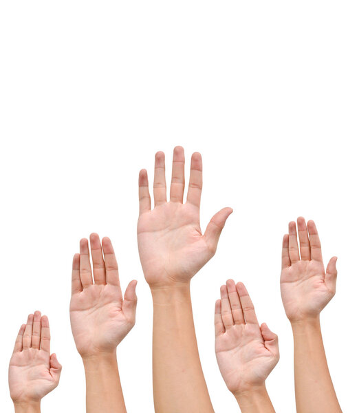 Many Hands raise high up