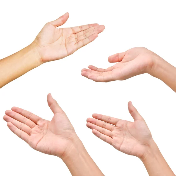 Разнообразие рук в разных позах — стоковое фото