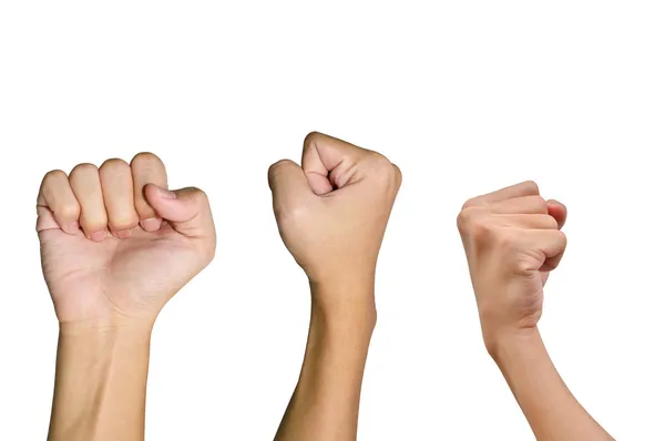 Variety of Fist Hands — Stock Photo, Image
