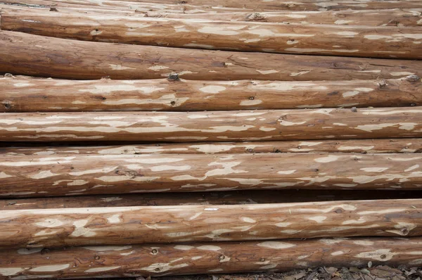 stock image Wood background