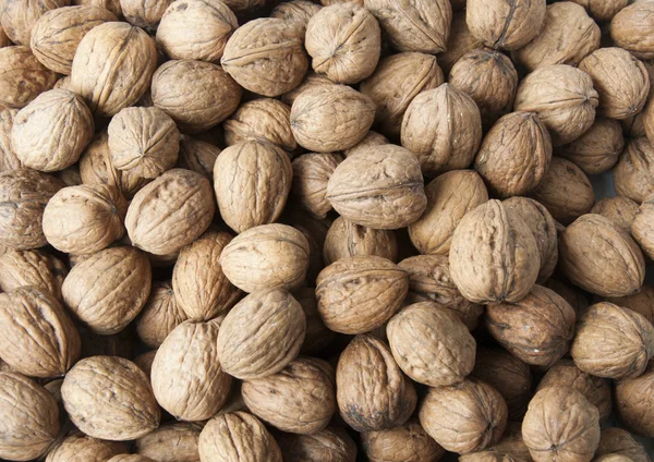 stock image Walnut