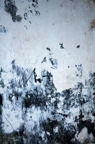 Fläckiga lime vägg — Stockfoto